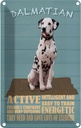 Blechschild 30x20 cm Dalmatian Hund active and easy Tier Haustier