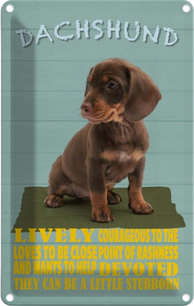 [LA-112638-2030] Blechschild 30x20 cm Dachshund Hund lively devoted Tier Haustier