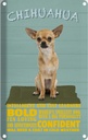 Blechschild 30x20 cm Chihuahua Hund bold confident Tier Haustier