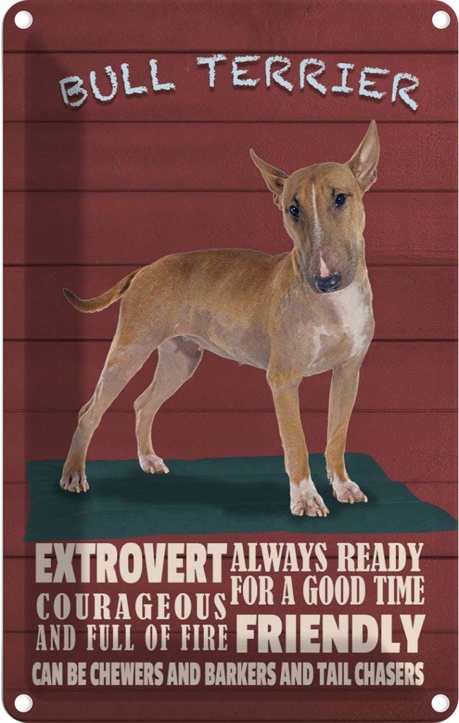 [LA-112645-2030] Blechschild 30x20 cm Bullterrier Hund always ready Tier Haustier