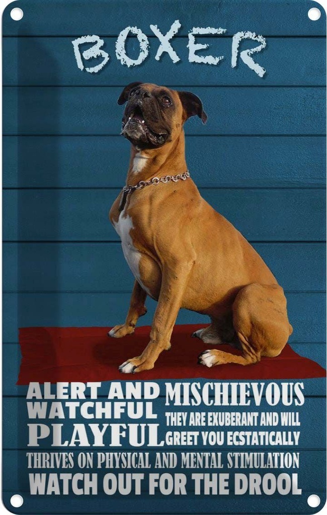 [LA-112647-2030] Blechschild 30x20 cm Boxer Hund watchful playful Tier Haustier
