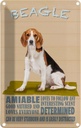 Blechschild 30x20 cm Beagle Hund loves to follow any