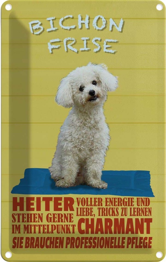 [LA-112651-2030] Blechschild 30x20 cm Hund Bichon Frise charmant Tier Haustier