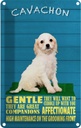 Blechschild 30x20 cm Cavachon Hund gentle affectionat Tier Haustier