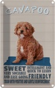 Blechschild 30x20 cm Cavapoo Hund sweet friendly Tier Haustier