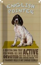 Blechschild 30x20 cm English Pointer Hund active Tier Haustier