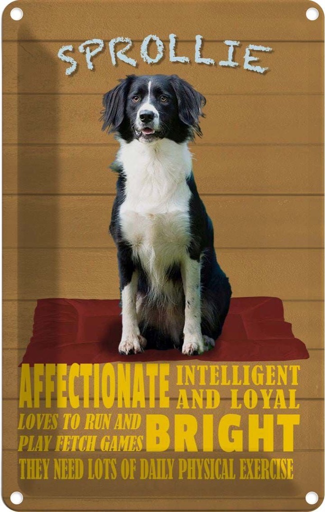 [LA-112658-2030] Blechschild 30x20 cm Sprollie Hund intelligent loyal Tier Haustier