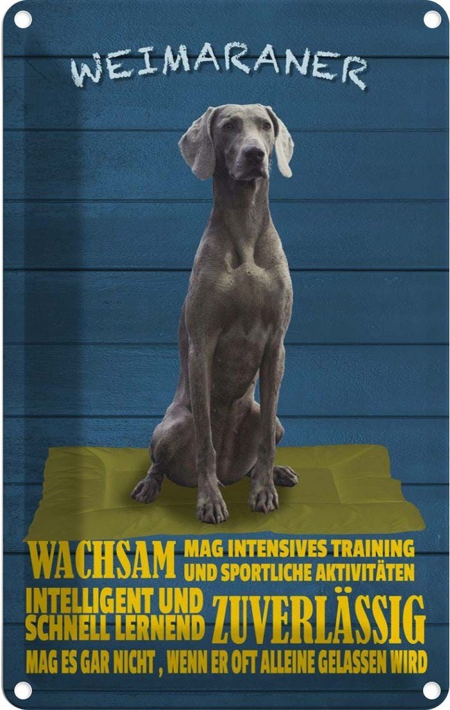 [LA-112663-2030] Blechschild 30x20 cm Weimaraner Hund wachsam schnell Tier Haustier