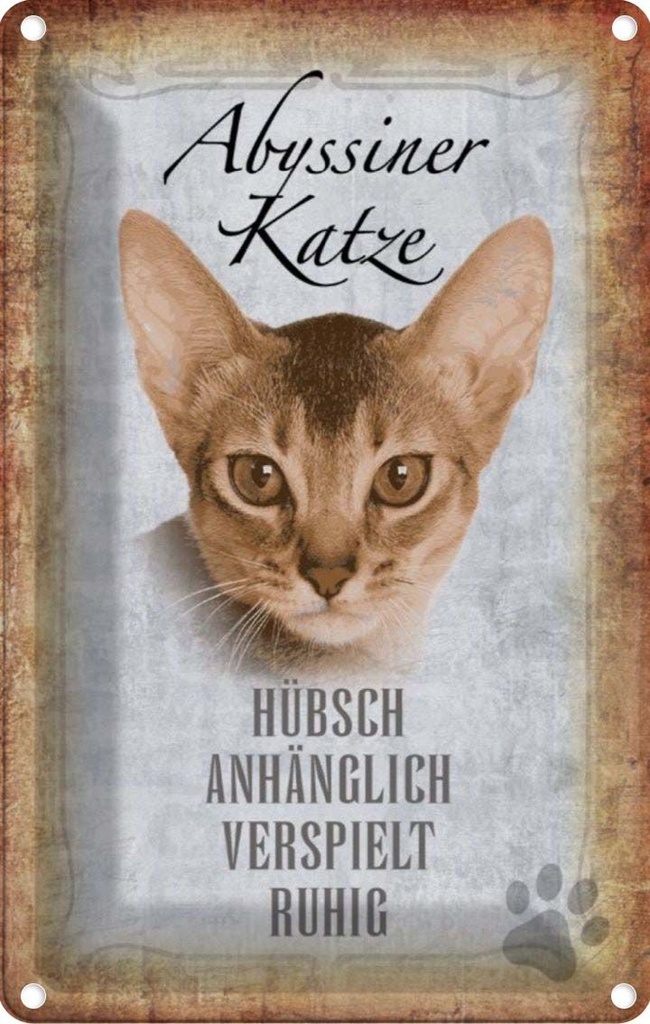 [LA-112721-2030] Blechschild 30x20 cm Abyssiner Katze hübsch verspielt