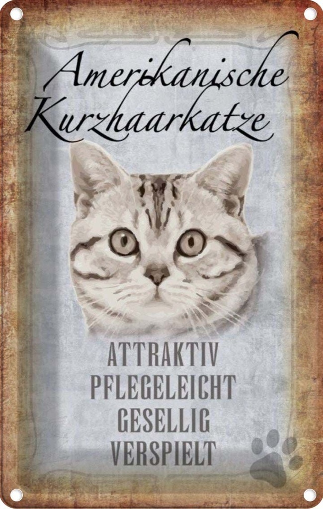[LA-112724-2030] Blechschild 30x20 cm Americanische Katze Kurzhaar Tier Haustier