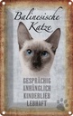 Blechschild 30x20 cm balinesische Katze Tier Haustier