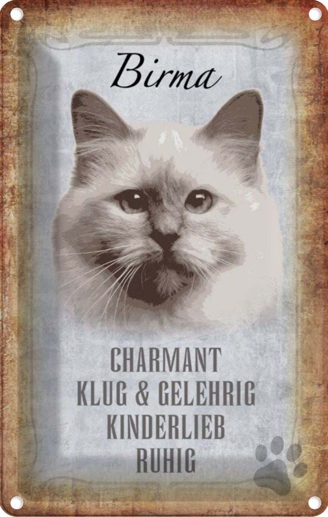 [LA-112727-2030] Blechschild 30x20 cm Birma Katze klug