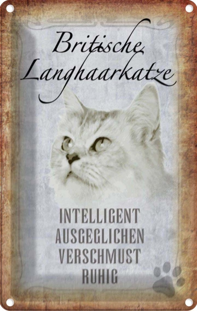 [LA-112729-2030] Blechschild 30x20 cm britische Langhaarkatze Tier Haustier Katze