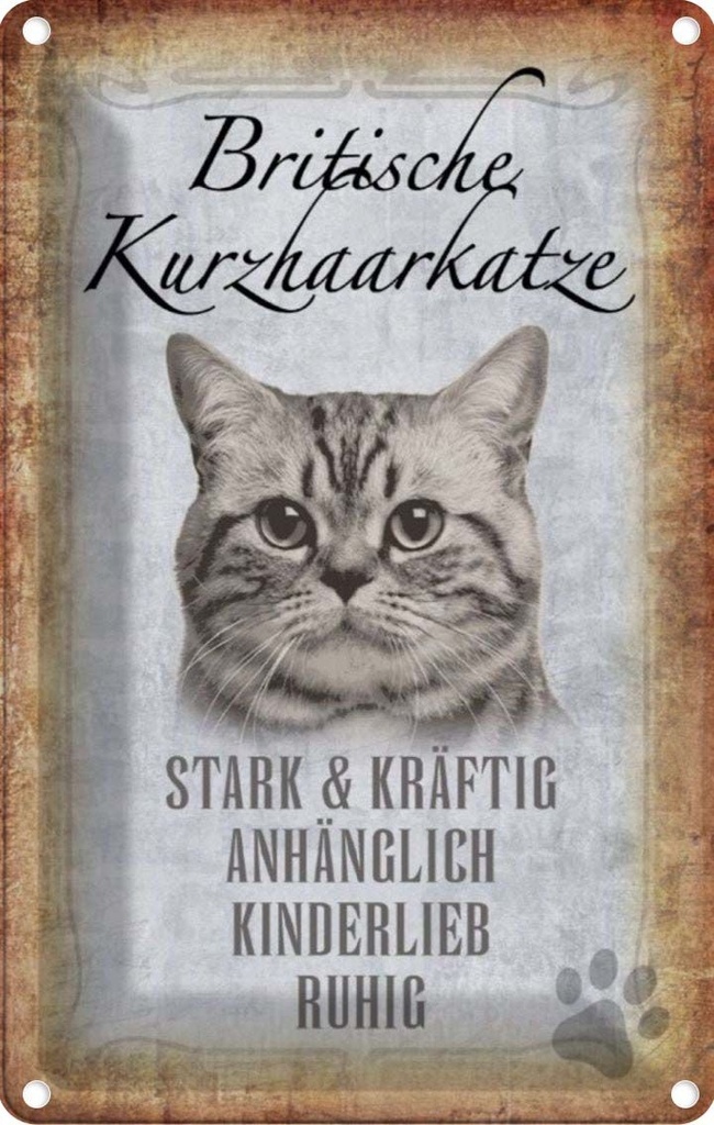 [LA-112730-2030] Blechschild 30x20 cm britische kurzhaarkatze Tier Haustier Katze