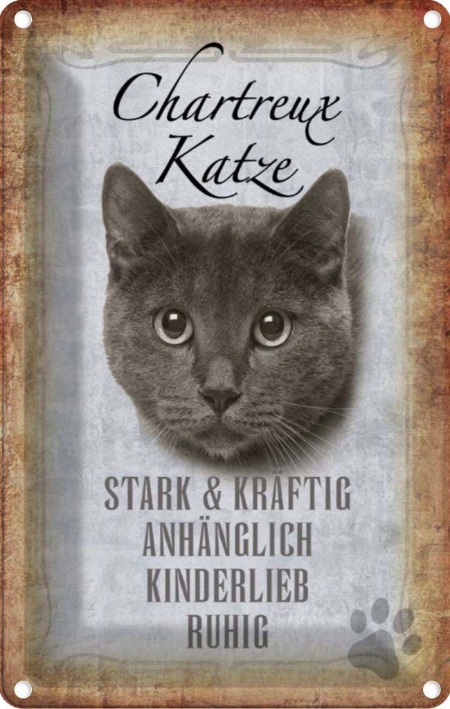 [LA-112732-2030] Blechschild 30x20 cm Chartreux Katze stark Tier Haustier