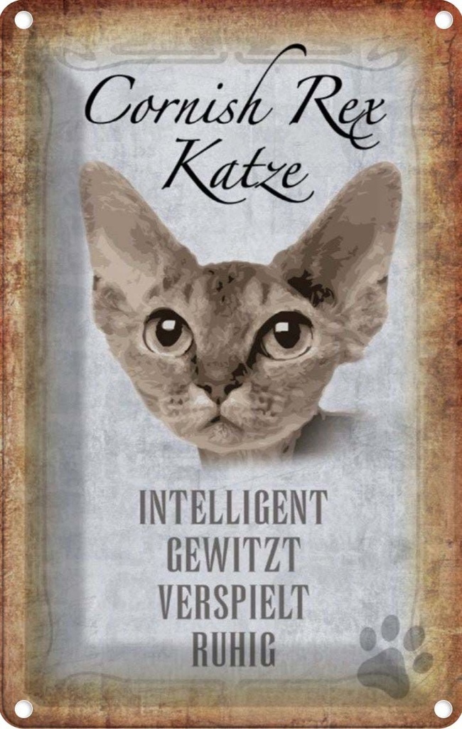 [LA-112734-2030] Blechschild 30x20 cm Cornish Rex Katze Tier Haustier