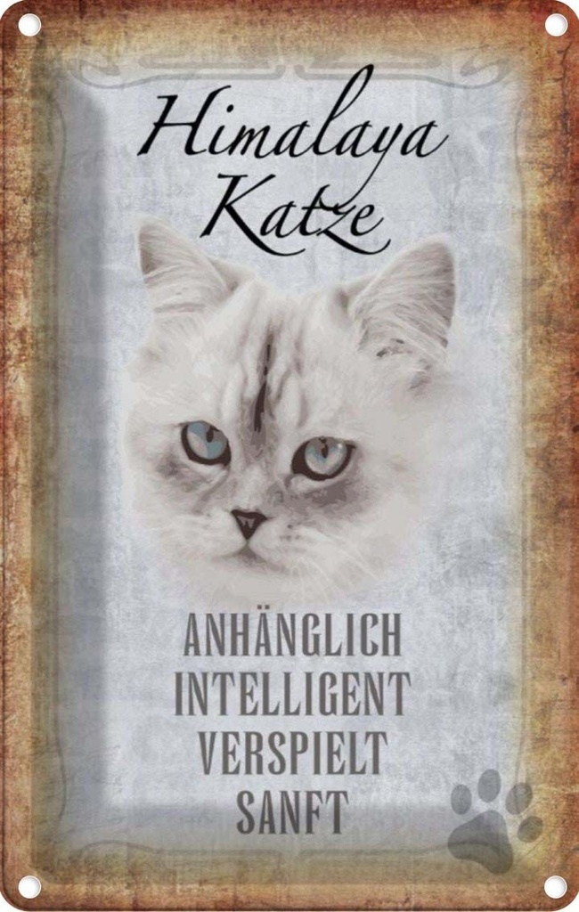 [LA-112739-2030] Blechschild 30x20 cm Himalaya Katze sanft Tier Haustier
