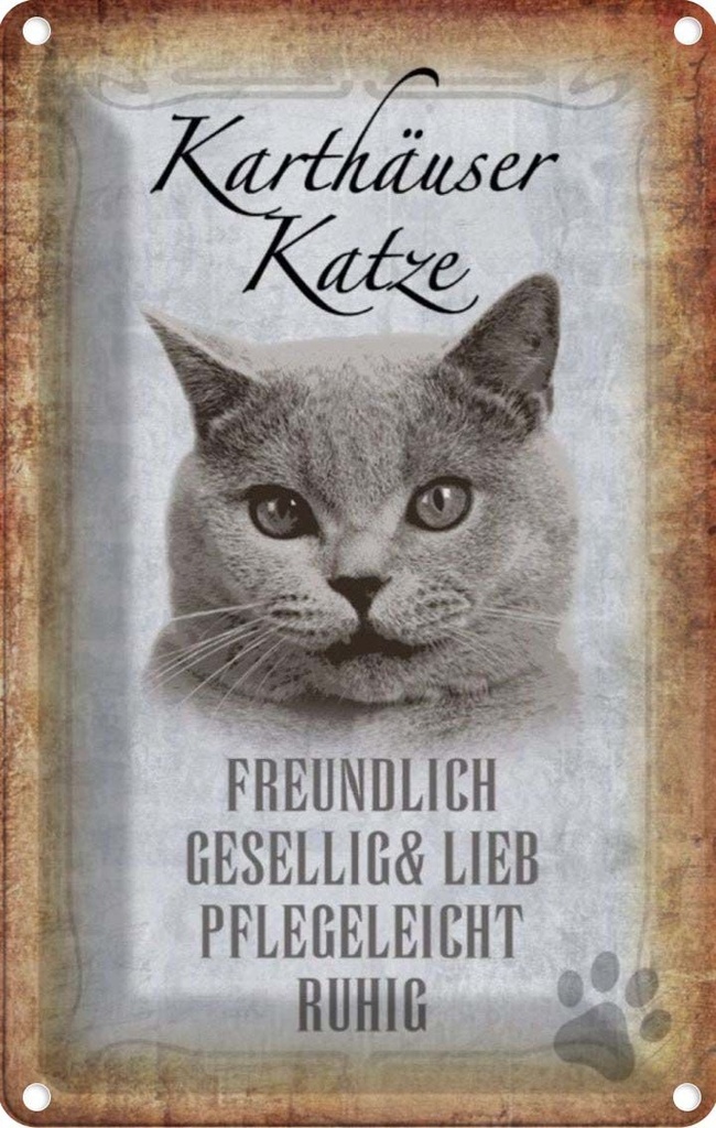 [LA-112740-2030] Blechschild 30x20 cm Karthäuser Katze lieb Tier Haustier