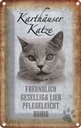 Blechschild 30x20 cm Karthäuser Katze lieb Tier Haustier