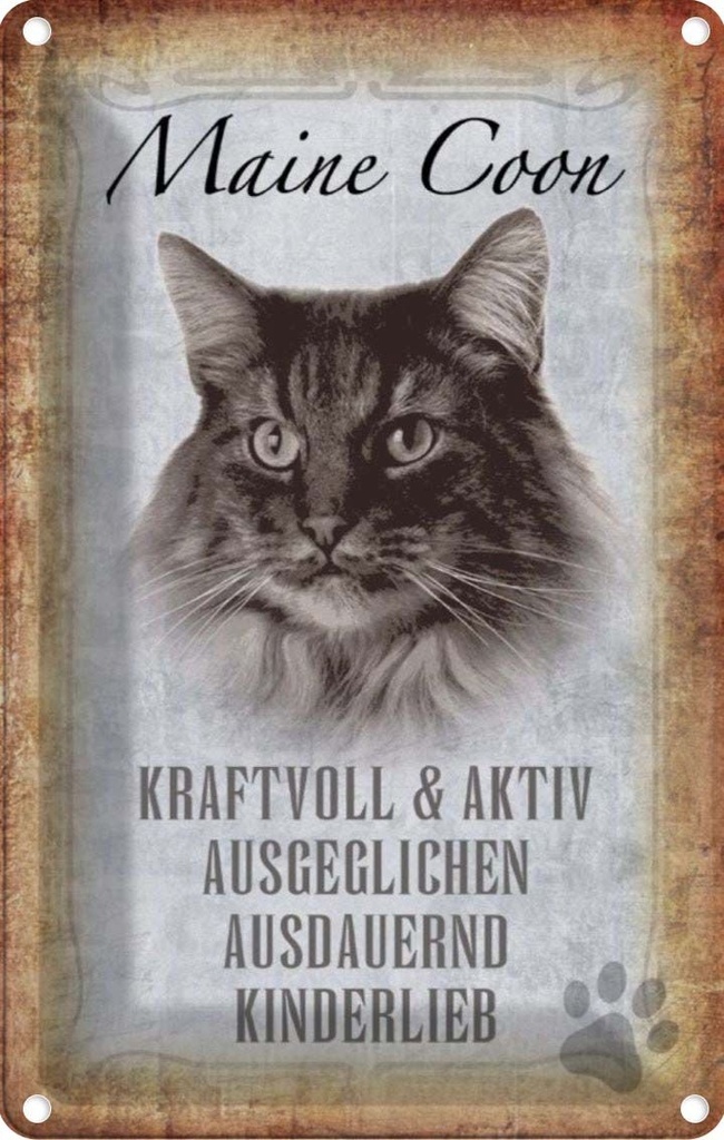 [LA-112741-2030] Blechschild 30x20 cm Maine Coon Katze aktiv Tier Haustier
