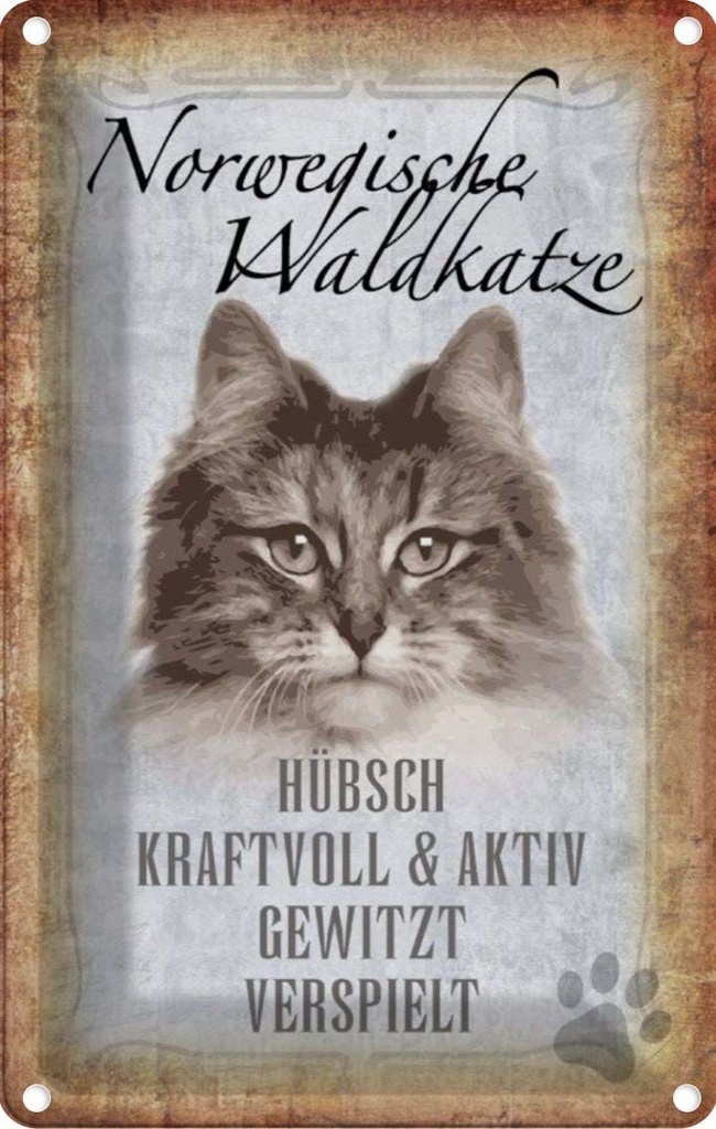 [LA-112743-2030] Blechschild 30x20 cm norvegische Waldkatze Katze Wanddeco Tier Haustier
