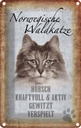 Blechschild 30x20 cm norvegische Waldkatze Katze Wanddeco Tier Haustier