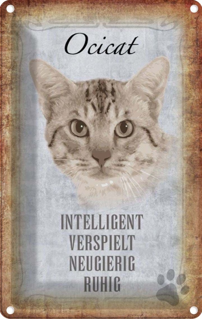 [LA-112744-2030] Blechschild 30x20 cm Ocicat Katze verspielt Tier Haustier