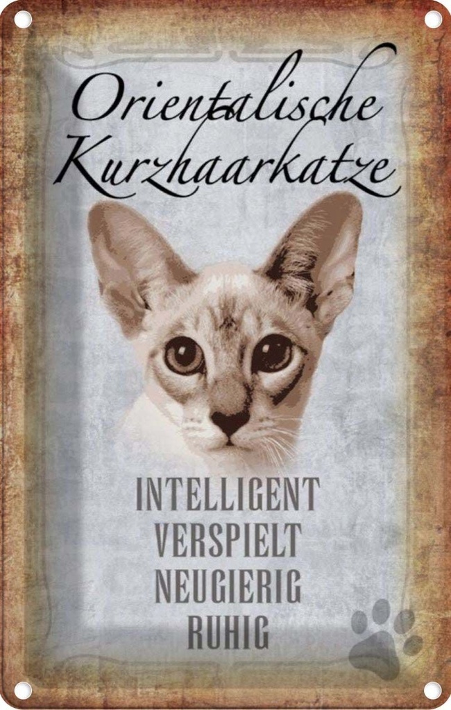 [LA-112745-2030] Blechschild 30x20 cm orientalische Kurzhaarkatze Tier Haustier Katze