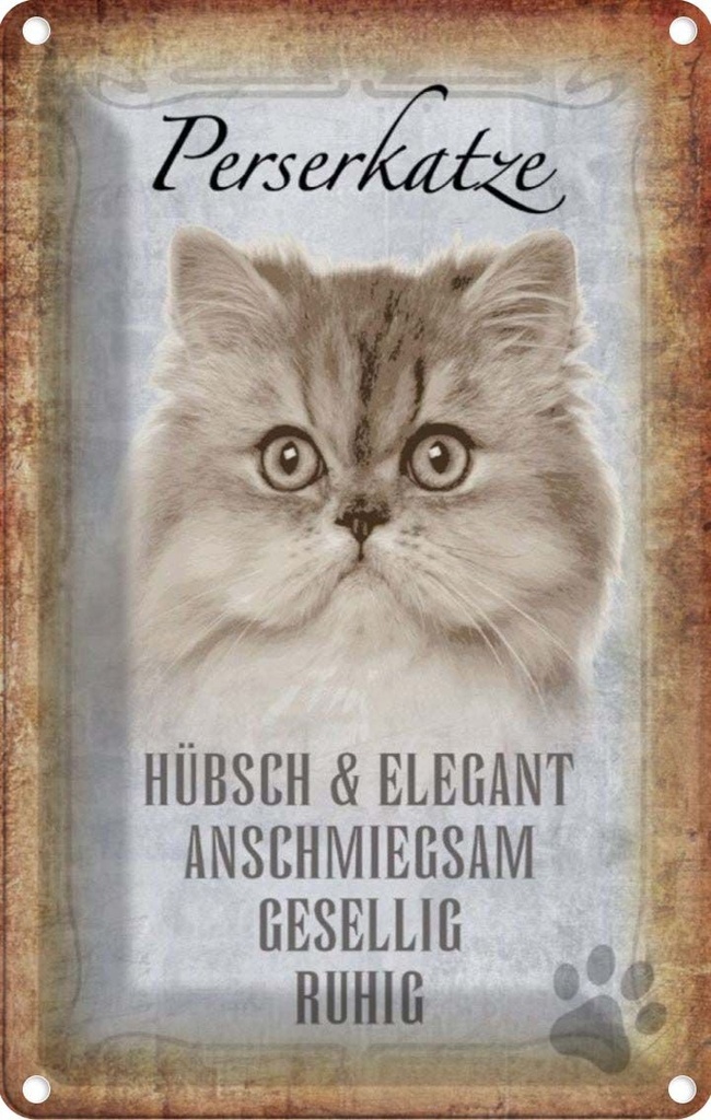[LA-112746-2030] Blechschild 30x20 cm Perserkatze Katze hübsch Tier Haustier