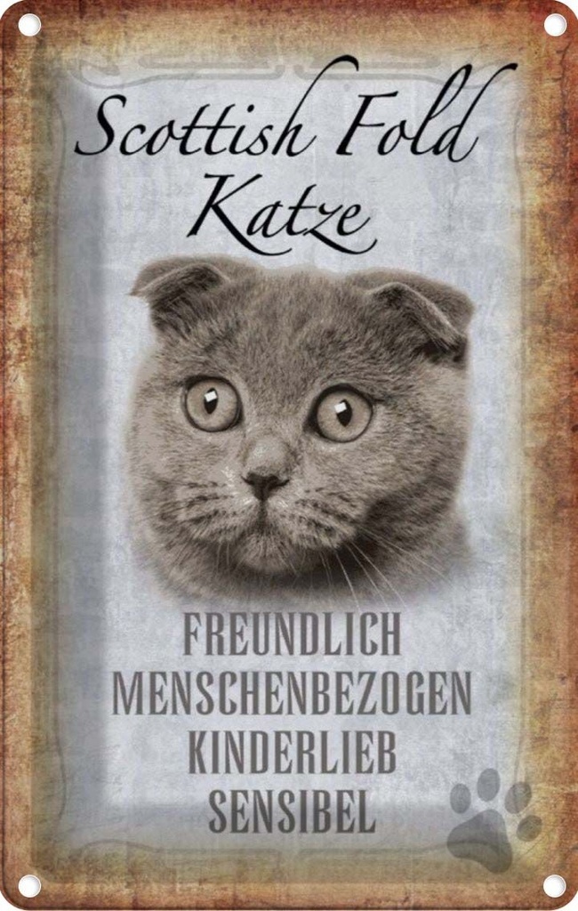 [LA-112750-2030] Blechschild 30x20 cm Scottish Fold Katze Tier Haustier