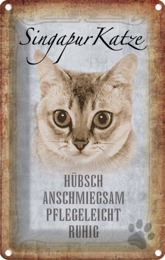 [LA-112754-2030] Blechschild 30x20 cm Singapur Katze Tier Haustier