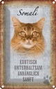 Blechschild 30x20 cm Somali Katze Tier Haustier