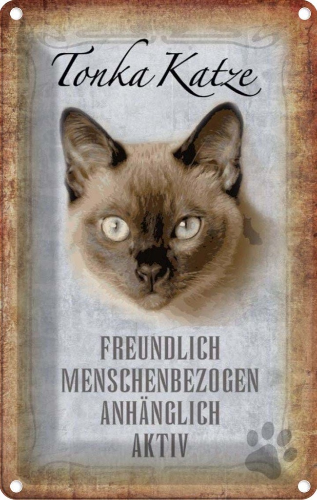 [LA-112757-2030] Blechschild 30x20 cm Tonka Katze Tier Haustier
