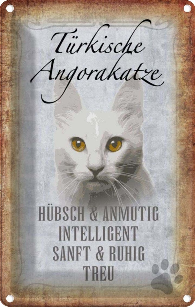 [LA-112759-2030] Blechschild 30x20 cm türkische Angorakatze Tier Haustier Katze