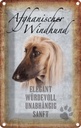 Blechschild 30x20 cm Afghanischer Windhund Hund Tier Haustier