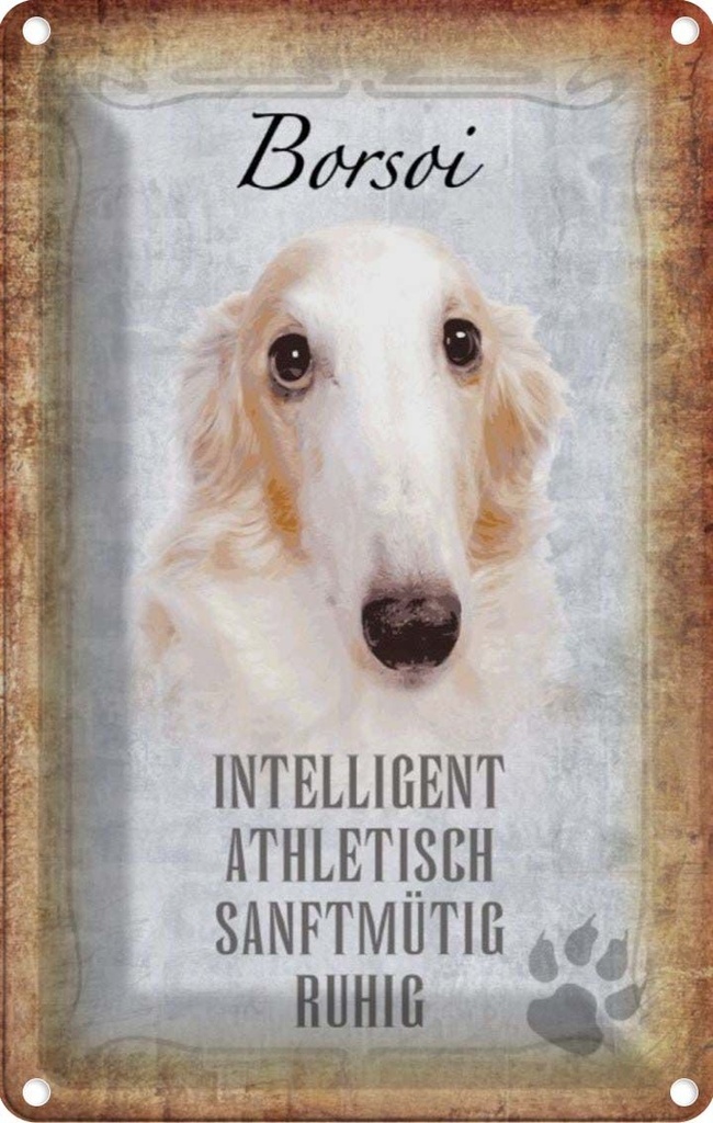 [LA-112808-2030] Blechschild 30x20 cm Borsoi Hund athletisch