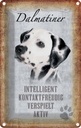 Blechschild 30x20 cm Dalmatiner Hund Tier Haustier