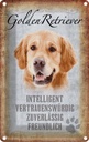 Blechschild 30x20 cm Golden Retriever Hund Tier Haustier