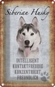 Blechschild 30x20 cm Siberian Husky Hund Tier Haustier