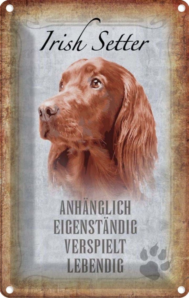 [LA-112822-2030] Blechschild 30x20 cm Irish Setter Hund Tier Haustier