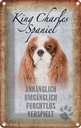 Blechschild 30x20 cm King Charles Spaniel Hund Tier Haustier