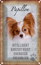 Blechschild 30x20 cm Papillon Hund Tier Haustier