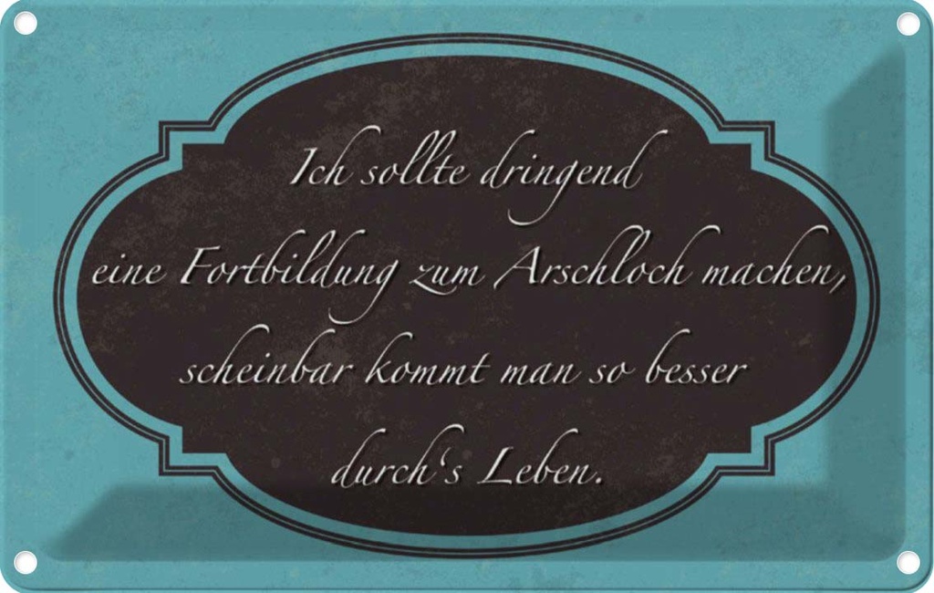 [LA-112874-2030] Blechschild 20x30 cm ich Fortbildung zum Arschloch Dekoration Spruch Zitat