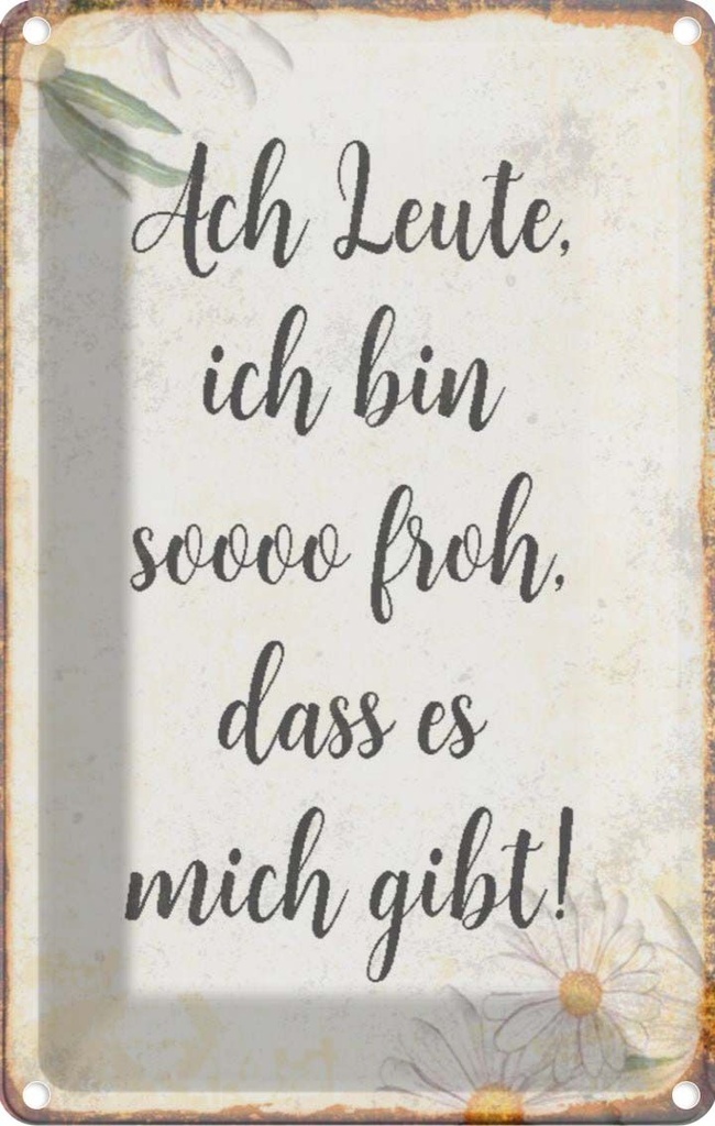 [LA-112880-2030] Blechschild 30x20 cm Ach Leute ich bin soo froh Spruch Zitat