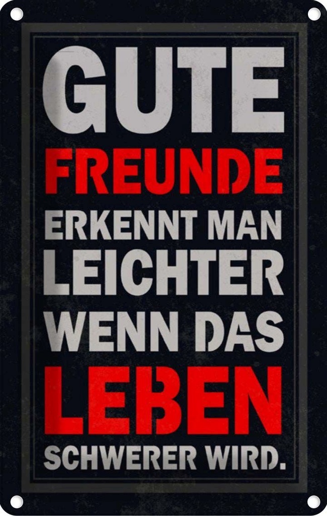 [LA-112897-2030] Blechschild 30x20 cm gute Freunde erkennt man Familie