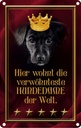 Blechschild 30x20 cm hier wohnt Hundedame der Welt Tier Haustier Hund
