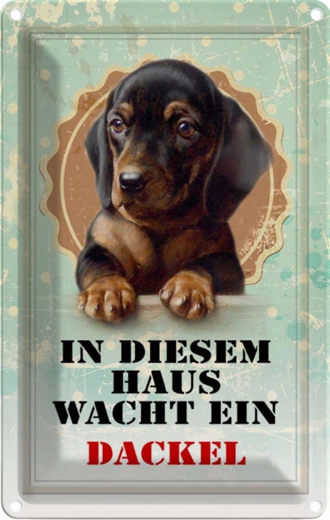 [LA-112937-2030] Blechschild 30x20 cm Hund in diesem Haus wacht ein Dackel Tier Haustier