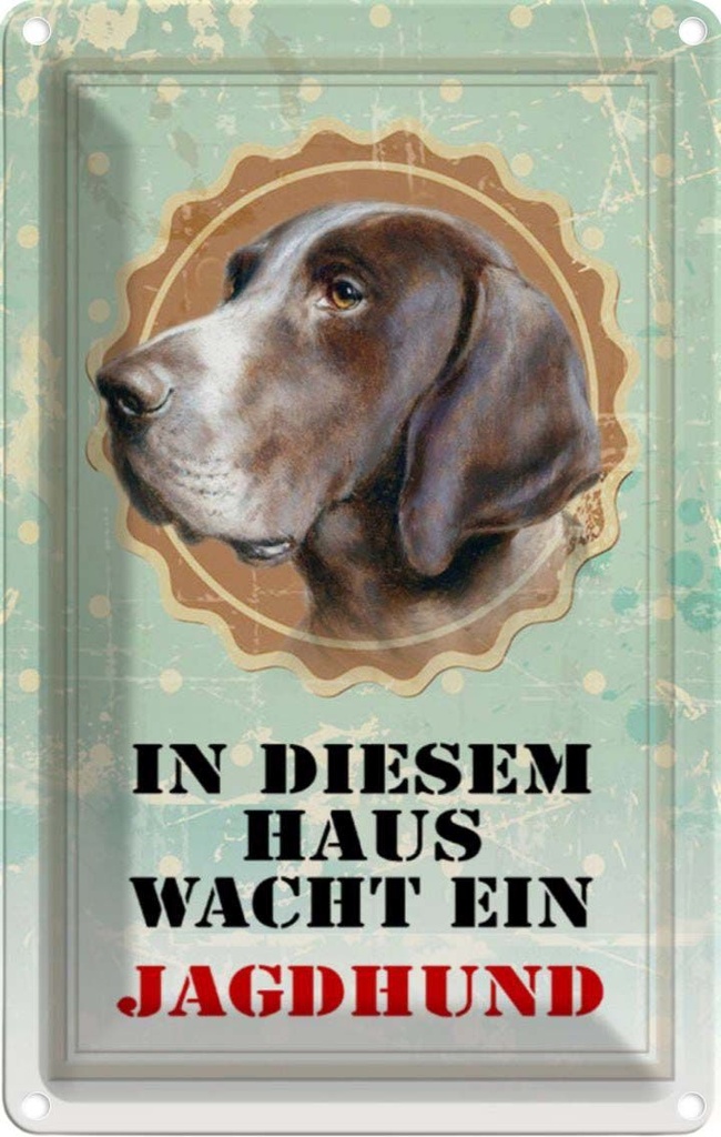 [LA-112945-2030] Blechschild 30x20 cm Hund in diesem Haus wacht ein Jagdhund Tier Haustier