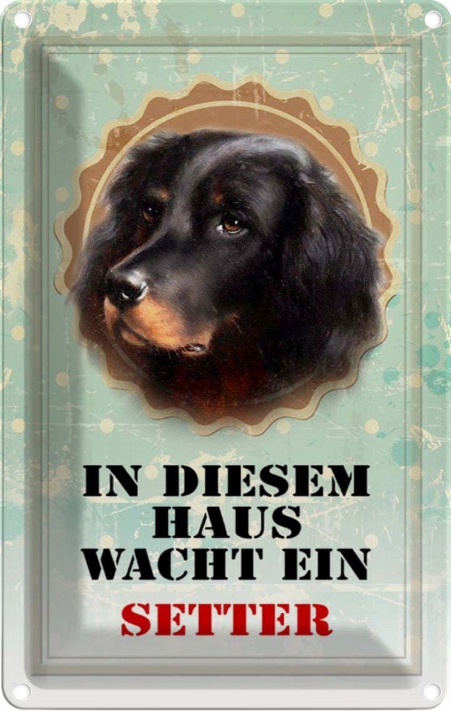 [LA-112953-2030] Blechschild 30x20 cm Hund in diesem Haus wacht ein Setter Tier Haustier