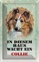Blechschild 30x20 cm Hund in diesem Haus wacht ein Collie Tier Haustier
